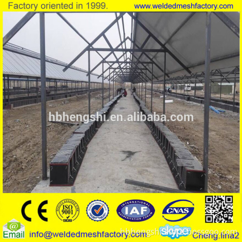 mink wire mesh cage
